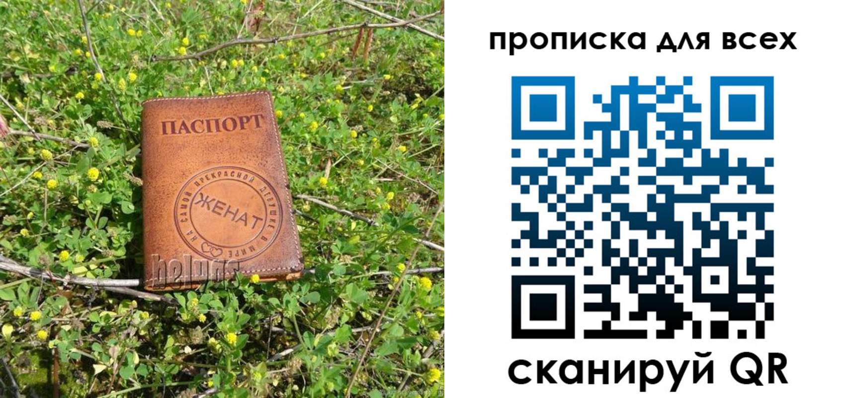 прописка поиск в Одинцово